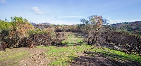 2979-Wood-Valley-Rd-Sonoma-CA-95476_feature