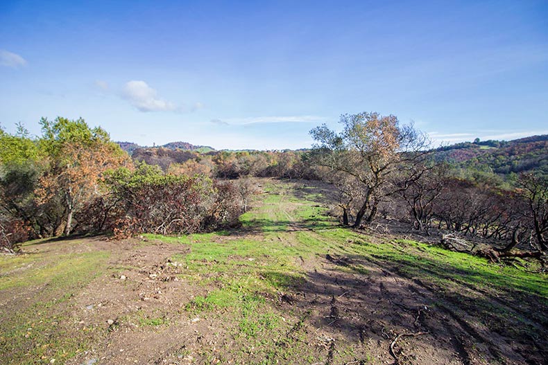 2979-Wood-Valley-Rd-Sonoma-CA-95476_post